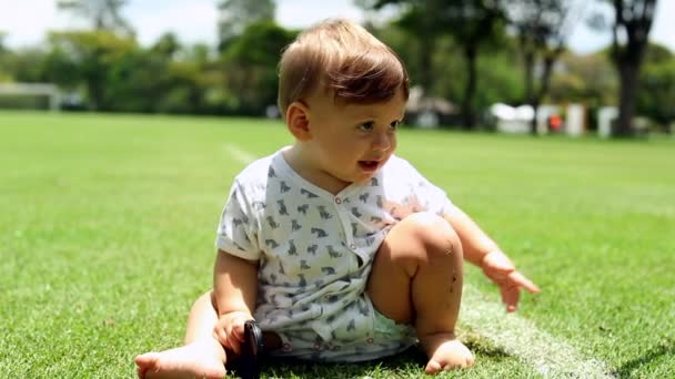 One Year Old Toddler Baby Infant Sitting Grass Portrait — Video
