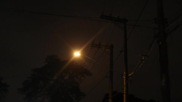 Passenger Pov Lamp Post Light Passing Night City — Vídeo de stock