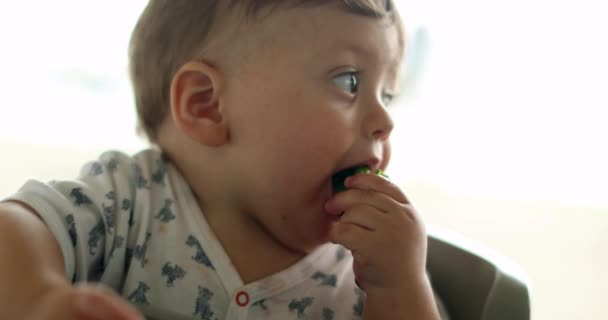 Baby Eating Broccoli Vegetable Highchair — Vídeos de Stock