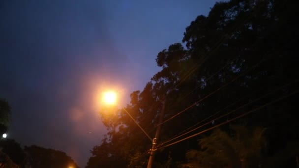 Driving Night Passing Lamp Post Evening — 비디오