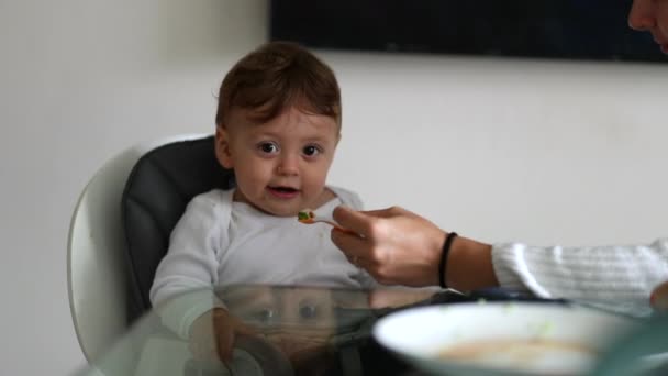 One Year Old Baby Denying Food Toddler Infant Wanting Feeding — Stock Video