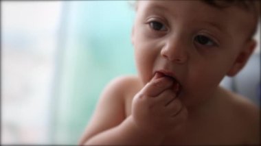 Baby eating food. Adorable cute toddler infant putting piece of food into mouth