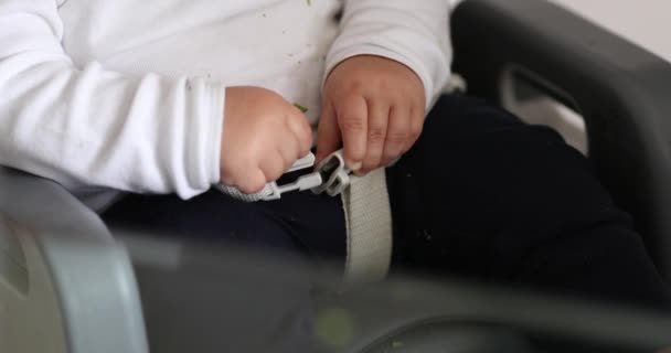 Baby Todlder Fastened Belt Highchair Infan Thands Holding Belt — Stockvideo