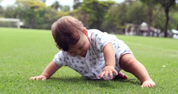 Cute One Year Old Baby Exploring Grass Park Toddler Boy — ストック動画