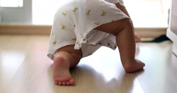 Baby Infant Child Development Crawling Hardwood Floor Home — Video Stock