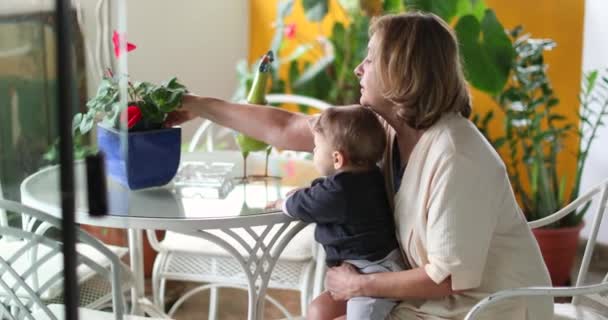 Grandmother Holding Grandson Child Lap Candid Grand Parent Infant Boy — Stok video