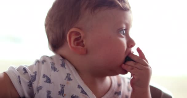 Cute Baby Toddler Eating Broccoli Vegetable Infant Wide Open Mouth — Video