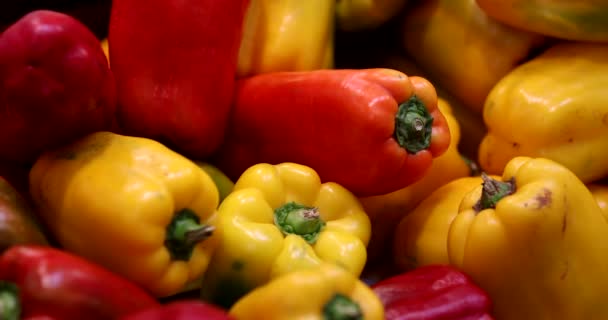Colorful Red Yellow Peppers Paprika — Stockvideo