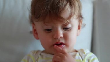 Portrait of cute baby toddler infant boy looking to camera