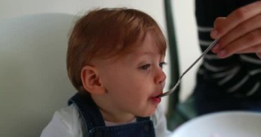 Karpuz yeme yürümeye başlayan çocuk 