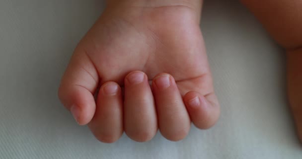 Hand Baby Infant Close — Vídeo de Stock