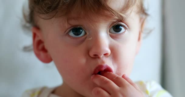 Cute Baby Boy Eating Healthy Snack Closeup One Year Old — Αρχείο Βίντεο