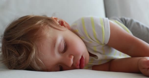 Infant Baby Slouched Bed Sleeping Deeply Toddler Boy Asleep Dreaming — Video