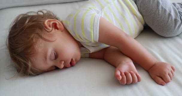 Cute Baby Sleeping Slouched Sofa — Stock video