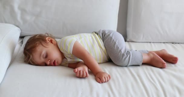 Baby Sleeping One Year Old Toddler Infant Boy Asleep Napping — Stok video