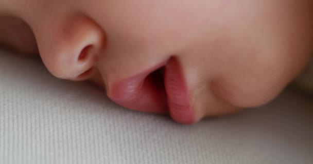 Sweet Infant Baby Face Close Sleeping Adorable Toddler Macro Closeup — Stock videók
