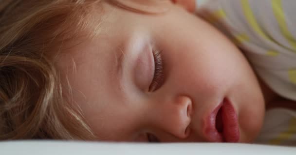 One Year Old Baby Sleeping Drooling Napping Infant Todlder Boy — Video