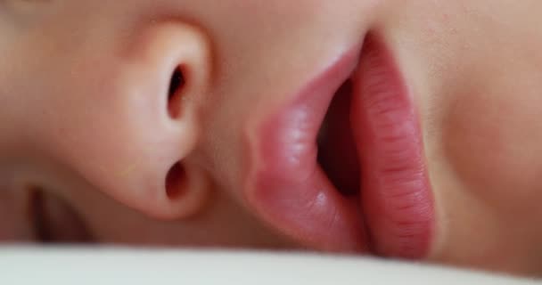 Baby Sleeping Face Closeup Infant Macro Lips Nose Close Napping — Stock videók