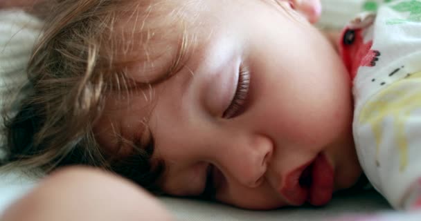 Cute Baby Infant Asleep One Year Old Child Face Toddler — Video