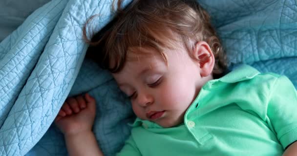 One Year Old Toddler Child Sleeping Restful Infant Boy Asleep — Stockvideo