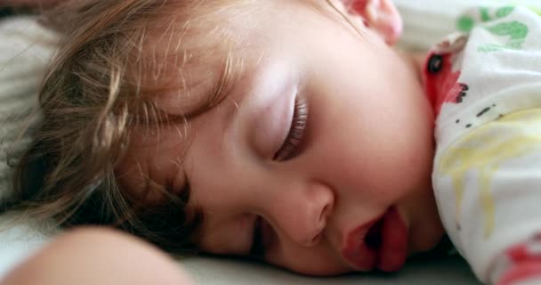 Peaceful Baby Toddler Asleep One Year Old Child Sleeping — Stockvideo