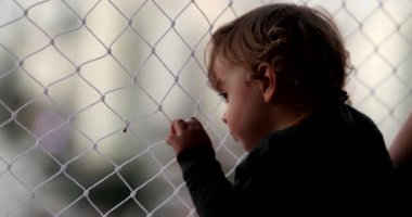 Baby looking outside pointing with finger, infant child holding net by window