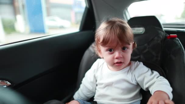 Cute Toddler Boy Sitting Car Seat Child Transportation Safety — Stockvideo