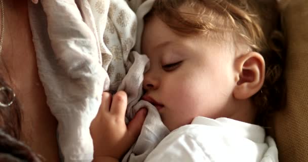 Baby Sleeping Close Infant Child Toddler Asleep — Wideo stockowe