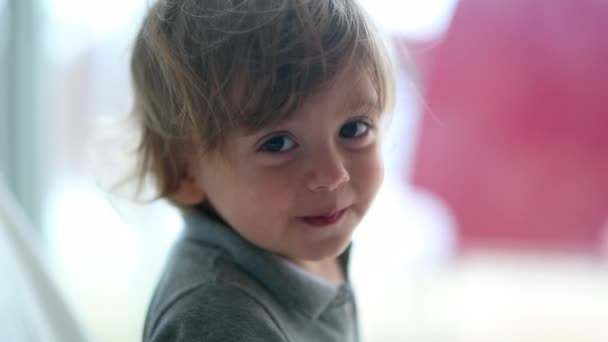 Portrait Toddler Child Baby Boy Kid Looking Camera — Stockvideo