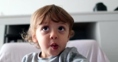 Toddler boy chewing food while watching media cartoon, infant child face staring