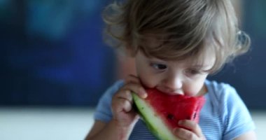 Karpuz yeme yürümeye başlayan çocuk 