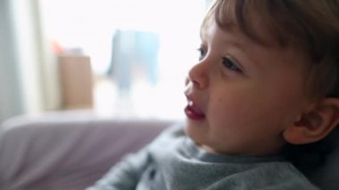 Toddler child sitting in chair eating fruit snack while watching cartoon