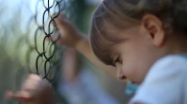 Child watching game leaning on fence, video 