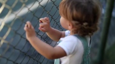 Child watching game leaning on fence, video 