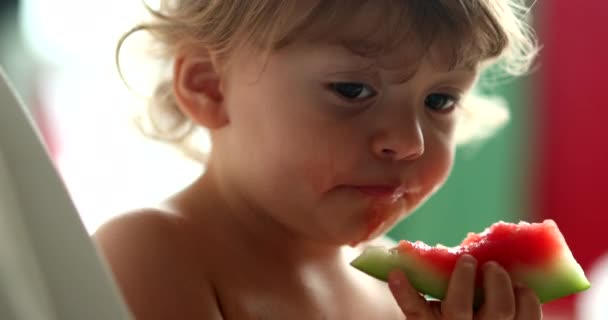 Toddler Chłopiec Jedzenie Arbuza — Wideo stockowe