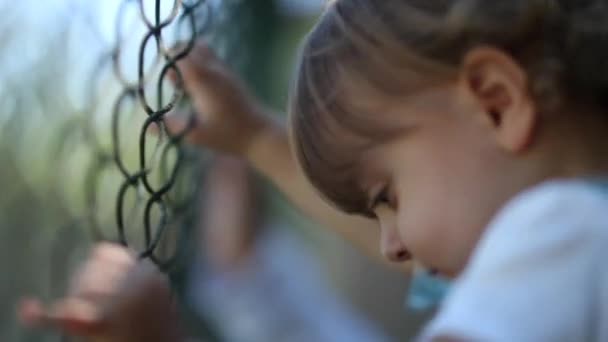 Child Watching Game Leaning Fence Video — 图库视频影像