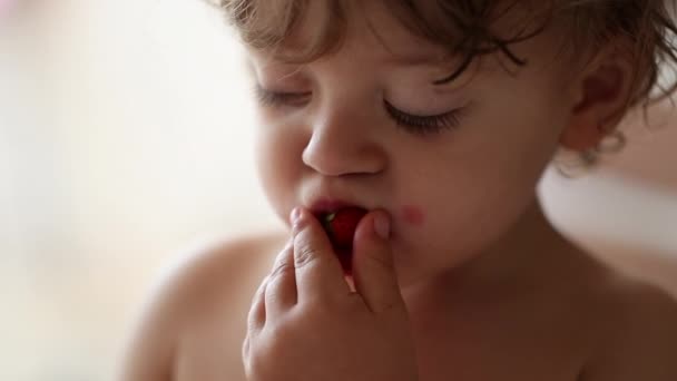 Baby Boy Eating Strawberry — Stockvideo