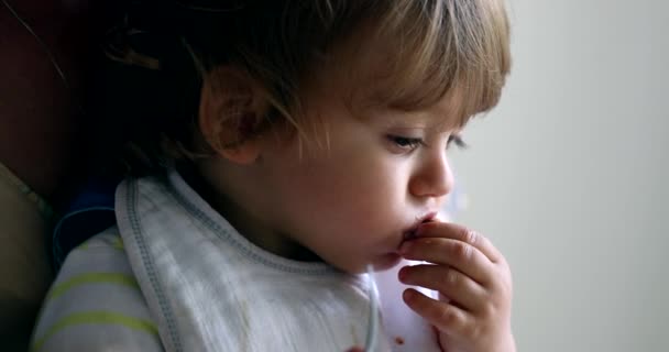 Baby Child Eating Mother Candid Mom Infant Boy Eating Meal — Vídeo de Stock