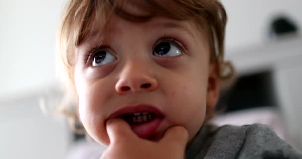 Toddler Boy Face Watching Media Cartoon Adorable Child Baby Hand — Αρχείο Βίντεο