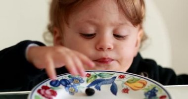 Cute baby grabbing blueberry from plate. Adorable one year old child eating healthy snack, finishing food