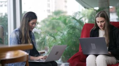 Kadınlar kahve dükkanında dizüstü bilgisayarların önünde çalışıyor ya da ders çalışıyor. İnternetteki kafede modern teknolojiyi kullanan iki kişi