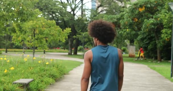 Back African American Person Walking Nature Outdoors Contemplating Thinking Life — 비디오