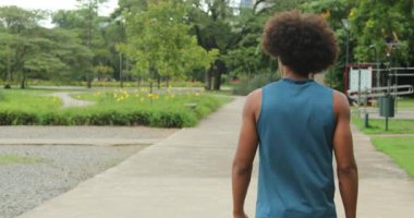 Back of african american man walking at park