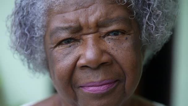 Portrait Serious Senior African Woman Face Looking Camera — Wideo stockowe