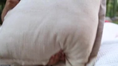 Cute happy child hiding behind pillow plays peekaboo. Toddler kid boy playing hide and seek