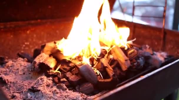 Barbecue Fire Charcoal Preparing Bbq Close Flames — стоковое видео