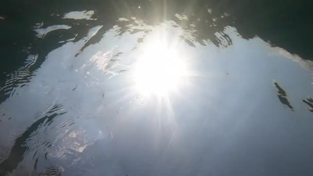 Sunlight Flare Shining Water Lake Clear Water Surface — Video