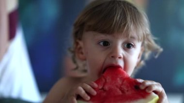 Cute toddler eating red watermelon