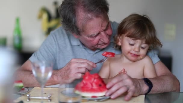 Grandfather Eating Red Watermelon Toddler Grandson Lunch Meal — Wideo stockowe