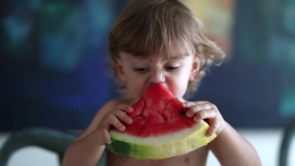Cute Toddler Eating Red Watermelon — Wideo stockowe